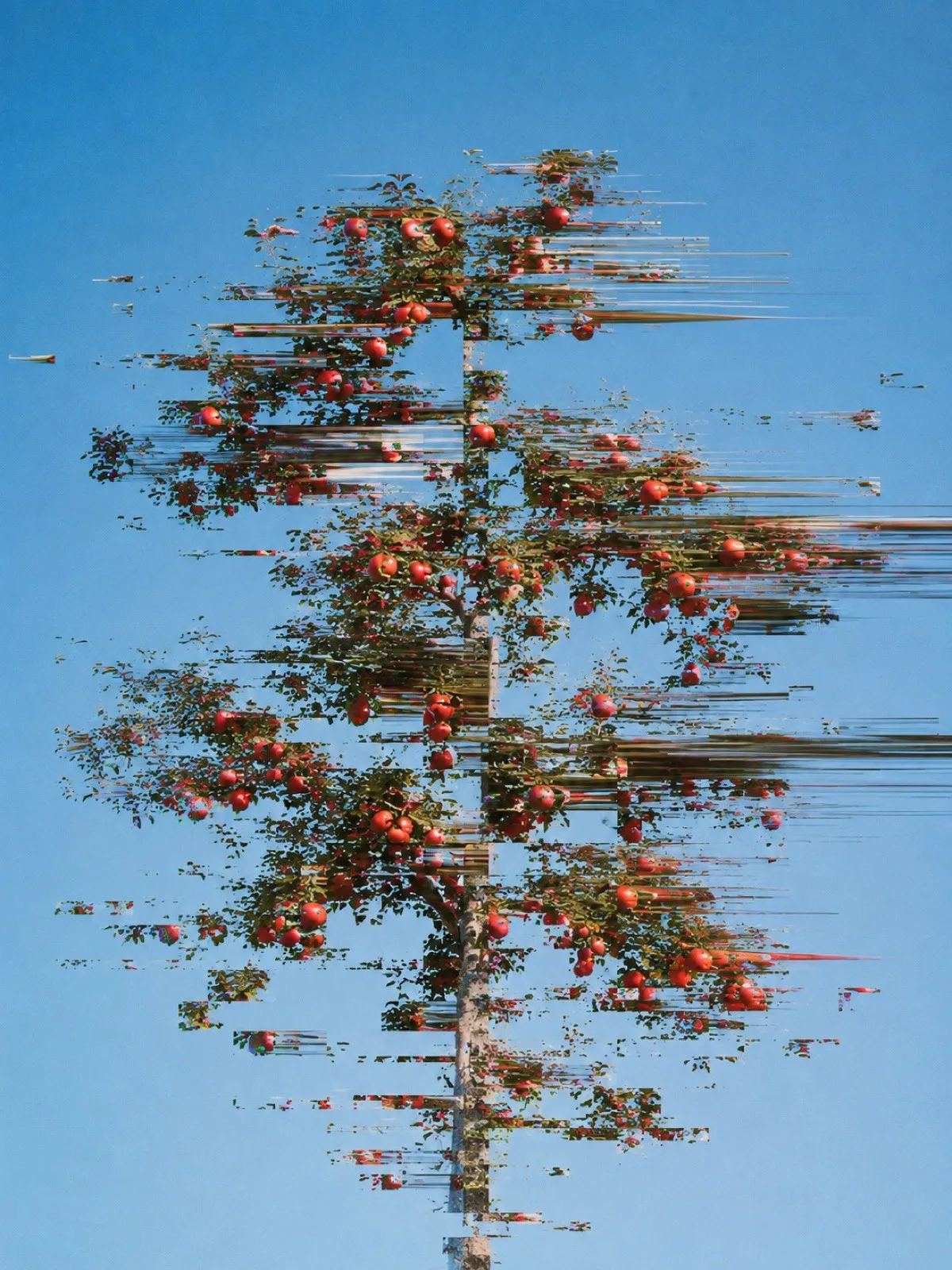 An apple tree fragmented by horizontal digital distortion.